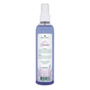 SPLASH LAVANDA INGLESA