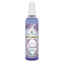 SPLASH LAVANDA INGLESA