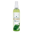 SPLASH VETIVER